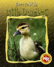 Cover of: Little ducks