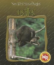 Cover of: Ositos/Little Bears (Nacidos Para Ser Salvajes/Born to Be Wild)