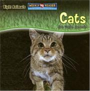 Cover of: Cats Are Night Animals