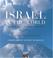 Cover of: Israel in the World