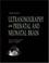Cover of: Ultrasonography of the Prenatal &  Neonatal Brain