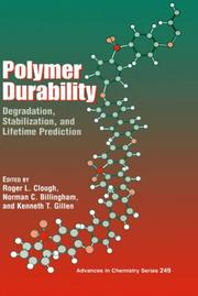 Cover of: Polymer Durability: Degradation, Stabilization, and Lifetime Prediction (Advances in Chemistry Series)