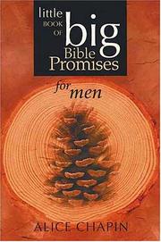Cover of: The Little Book of Big Bible Promises for Men (Little Book of Big Bible Promises)