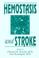 Cover of: Hemostasis and stroke