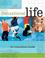 Cover of: Sensational Life