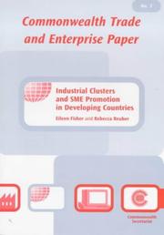 Cover of: Industrial clusters and SME promotion in developing countries by Eileen Fischer