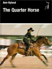 Cover of: The Quarter Horse