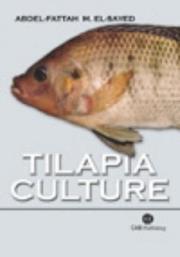 Cover of: Tilapia culture