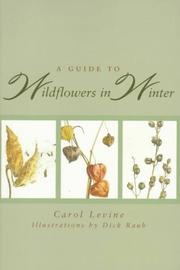 A guide to wildflowers in winter by Carol Levine