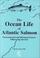 Cover of: The Ocean Life of Atlantic Salmon