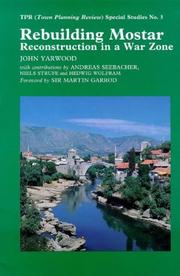 Rebuilding Mostar by John R. Yarwood