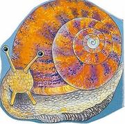 Cover of: Pocket Snail (Pocket Pals (Safari Ltd)) by Pam Adams