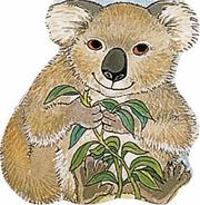 Cover of: Pocket Koala by P. Adams
