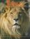 Cover of: The Lion and the Savannah (Animals and Their Ecosystems Series)