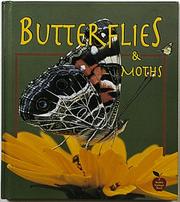 Cover of: Butterflies and moths by Bobbie Kalman