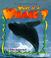 Cover of: What is a whale?