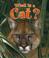 Cover of: What Is a Cat? (Science of Living Things)