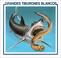 Cover of: Grandes tiburones blancos