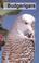 Cover of: Joy of Budgerigars
