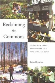 Reclaiming the commons by Brian Donahue