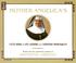 Cover of: Mother Angelica's Little Book of Life Lessons and Everyday Spirituality