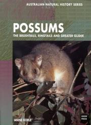 Possums by Anne Kerle