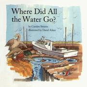 Cover of: Where did all the water go? by Carolyn Stearns