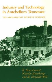 Cover of: Industry and technology in antebellum Tennessee: the archaeology of Bluff Furnace