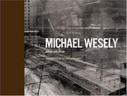 Cover of: Michael Wesely by Sarah Hermanson Meister