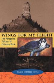 Wings for My Flight by Marcy Cottrell Houle