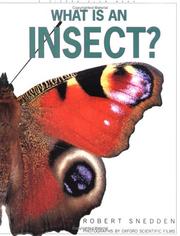 Cover of: What Is an Insect (What is) by Robert Snedden