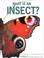 Cover of: What Is an Insect (What is)