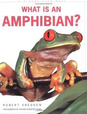 Cover of: What is an Amphibian? (What is) by Robert Snedden, Robert Snedden