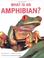 Cover of: What is an Amphibian? (What is)