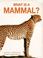 Cover of: What is a Mammal? (What is)