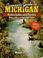 Cover of: Camper's guide to Michigan parks, lakes, and forests