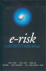 Cover of: E-risk: liabilities in a wired world