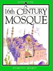 A 16th Century Mosque by Fiona MacDonald