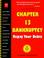Cover of: Chapter 13 bankruptcy