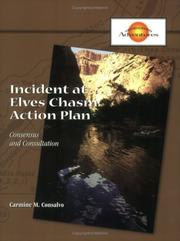 Cover of: Incident at Elves Chasm Simulation: Action Plan