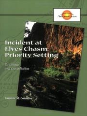 Cover of: Incident at Elves Chasm: Priority Setting (5 Pack)