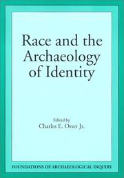 Cover of: Race and the archaeology of identity