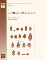 Camels Back Cave by Dave N. Schmitt, David B. Madsen, Dave N Schmitt