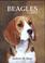 Cover of: Beagles Today