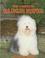 Cover of: The complete old English sheepdog