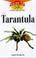 Cover of: The tarantula