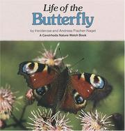 Cover of: The Life of the Butterfly (Nature Watch)