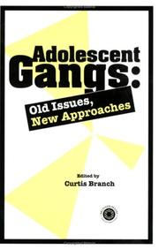 Cover of: Adolescent gangs: old issues, new approaches