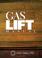 Cover of: Gas Lift Manual