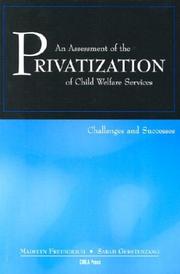 Cover of: An Assessment of the Privatization of Child Welfare Services: Challenges and Successes